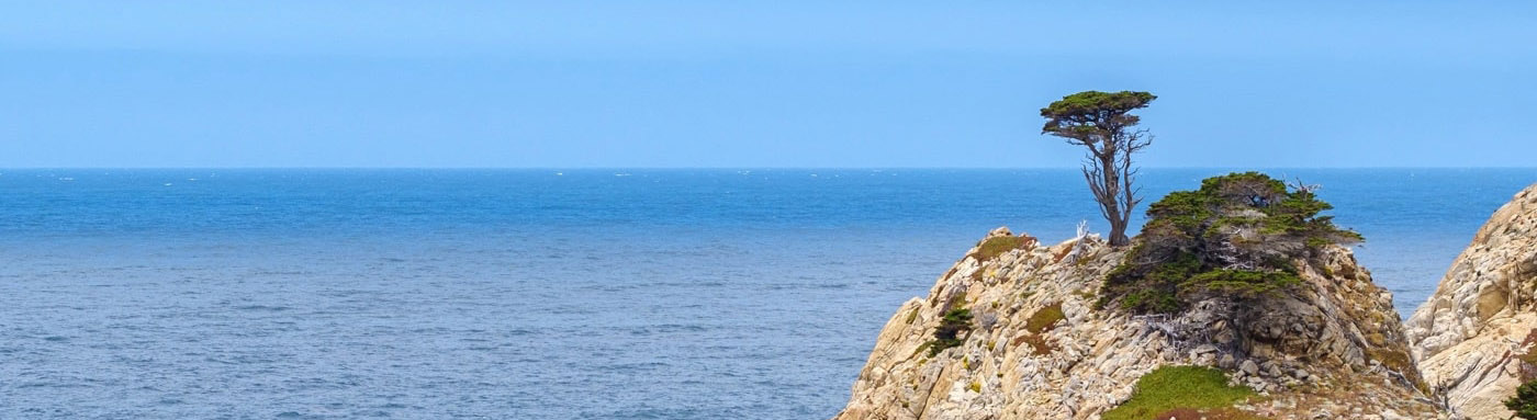 monterey auctions header